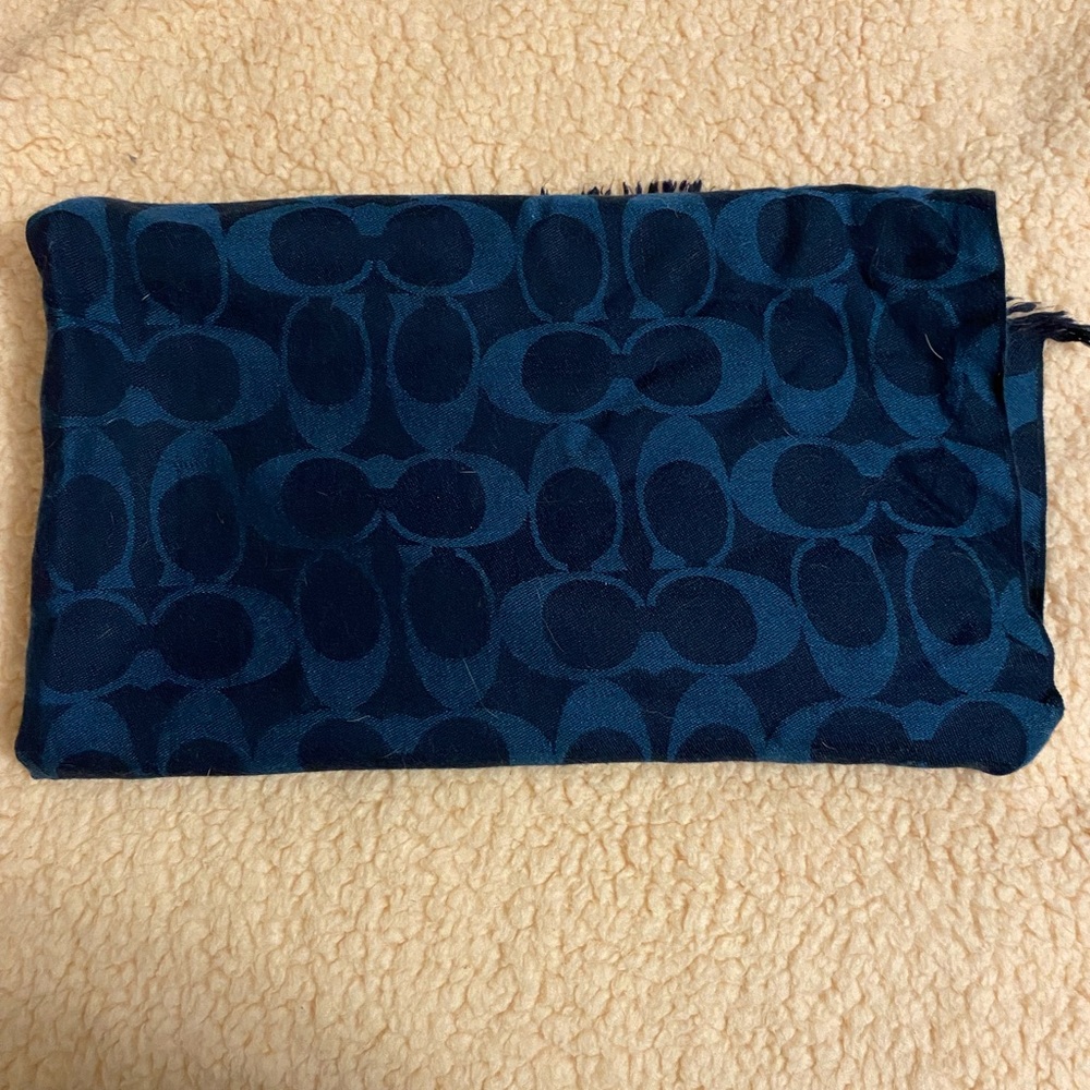 Blue Coach Scarf